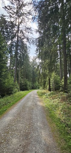 Westweg Etappe 1: Pforzheim - Dobel