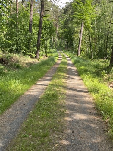 Eisenhammer Runde um die Schwedenberge