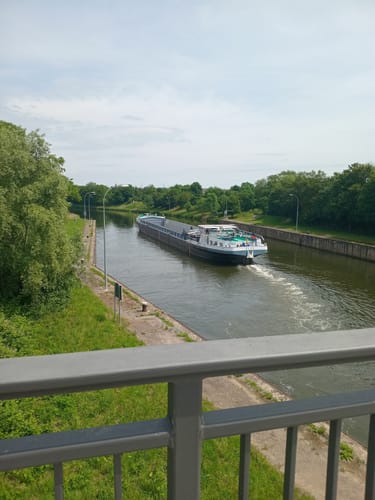 Altneckarrunde NSG Pleidelsheimer Wiesental