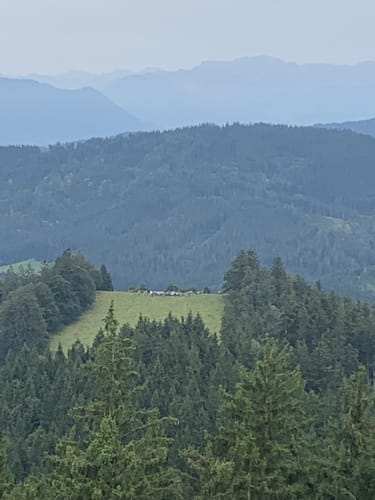 Von Bolsternang zum Schwarzen Grat