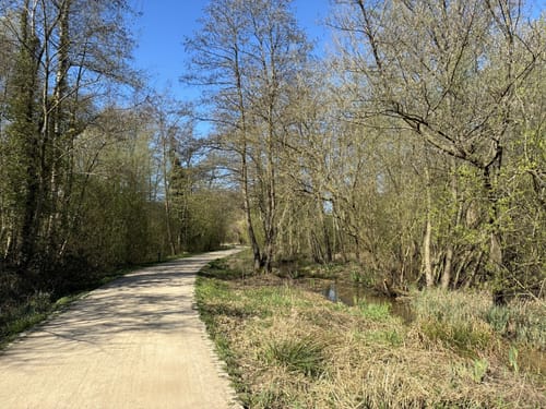 EmsRadweg Etappe 2: Rheda-Wiedenbrück - Telgte