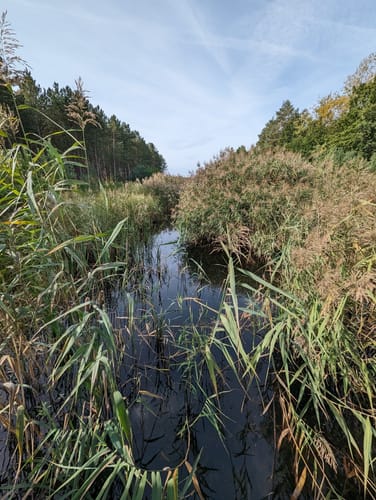 Holzweißiger Ostsee and Paupitzscher See Rundweg