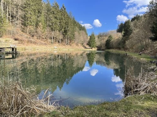Von Maare zu Raubrittern