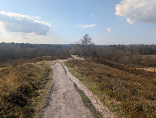 Boxberg Walderlebnispfad