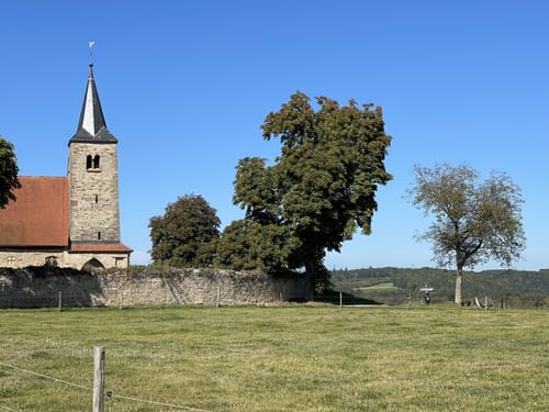 Von Gundelsheim entlang dem Neckar