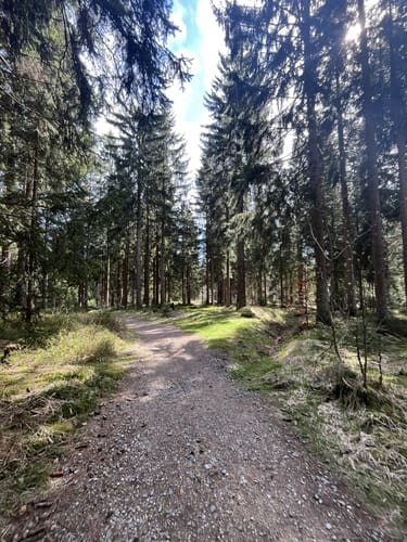 12-Gipfel-Tour Fichtelgebirge
