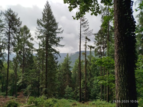 Cross Rad Wandertour mit Teufelskanzel Aussicht zum Neckar