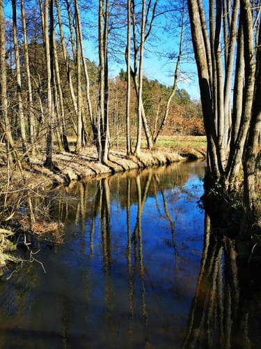 Amelinghausen: Königinnen-Weg