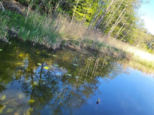 Rund um den Hartsee