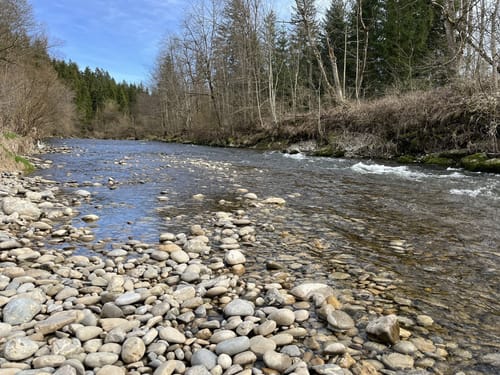 Neutrauchburg