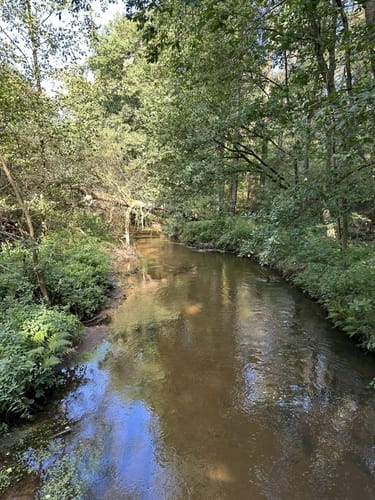 Veerßener Wald Runde