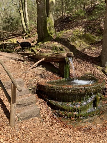 Am Schwarzbach: Ritterstein - Ramschel-Weiher