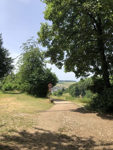 Burg Rötteln - Rümminger Moos