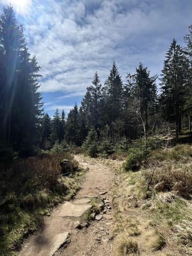 12-Gipfel-Tour Fichtelgebirge