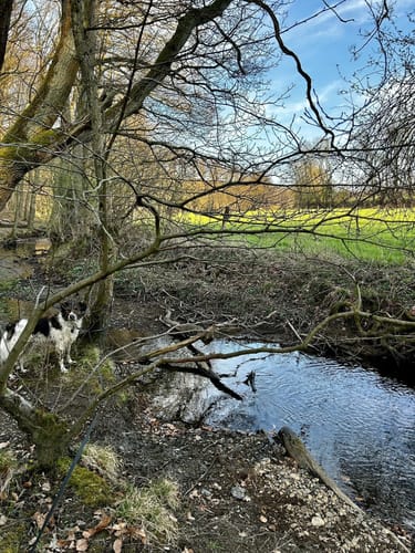 Elsebad Rundweg A7