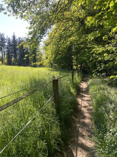 Rheinsteig Unkel - Bad Honnef