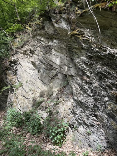 Ruine Balduinsburg Rundweg