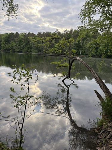Um den Berggeistweiher