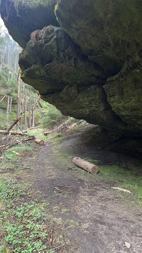 Hinterhermsdorf - Fluss Kirnitzsch mit Kahnfahrt Grenzwanderung