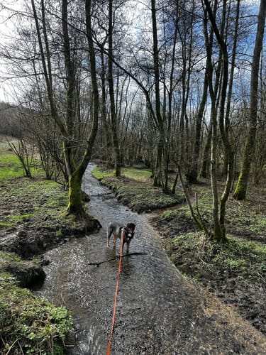 Walbrecken Rundweg A4