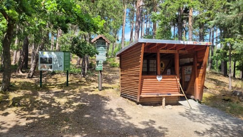 Panoramaweg Schwarzatal Etappe 8: Röderberg - Schwarza