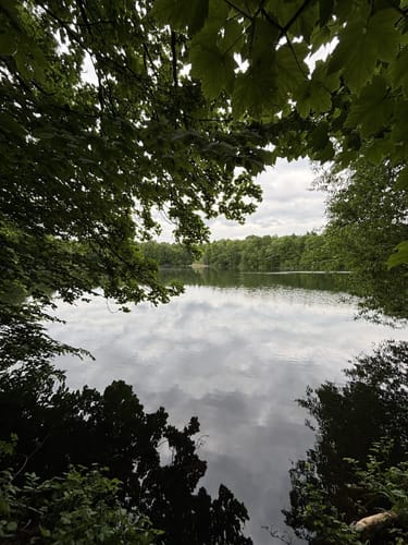 Um den Berggeistweiher