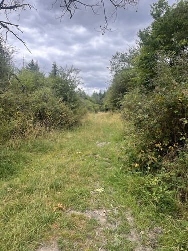 In Vino Veritas (Premiumwanderweg)