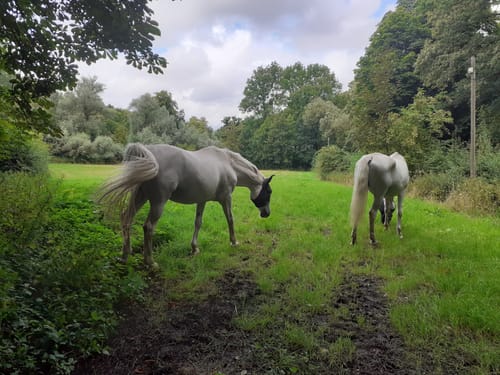 Teuterhof Rundweg