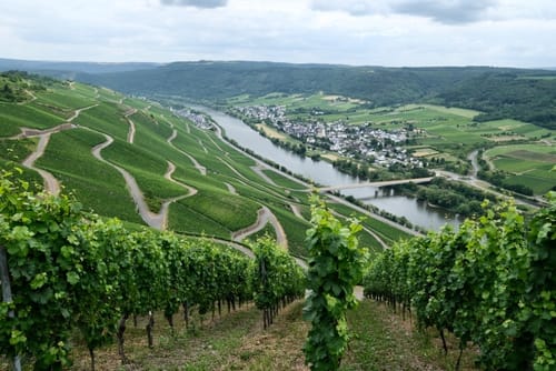 Moselsteig Etappe 12: Ürzig - Traben-Trarbach