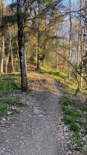 Kybfelsen ab Günterstal