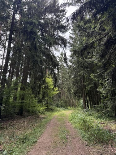 Gedenkstätte Walhalla und Dachsberg ab Donaustauf