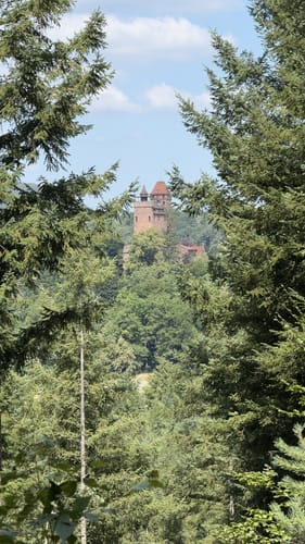 Erlenbach - Burg Berwartstein - Seehofweiher