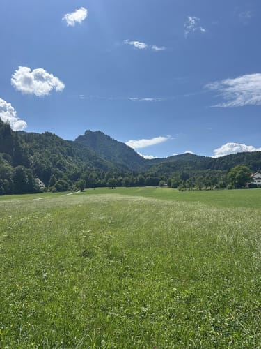 Am Kochelsee zwischen Schlehdorf und Rau