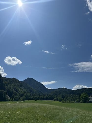 Am Kochelsee zwischen Schlehdorf und Rau