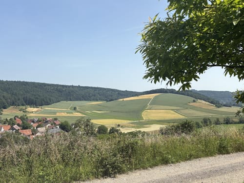 Neckarsteig Etappe 6: Neunkirchen - Neckargerach