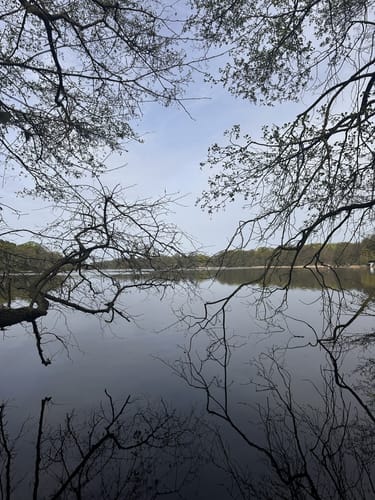 Siethener See