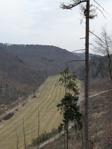 Walderlebnis-Pfad - Naturerbe Wanderwelt Altenbeken