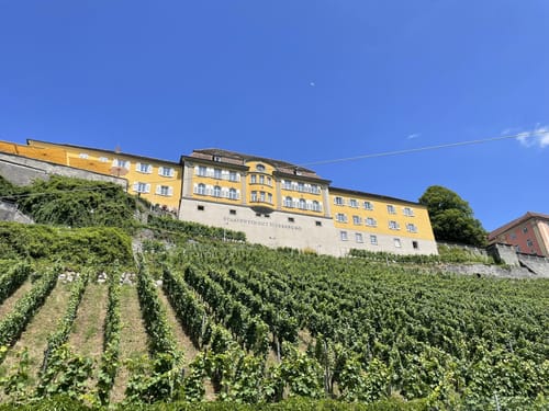 Überlingen - Friedrichshafen