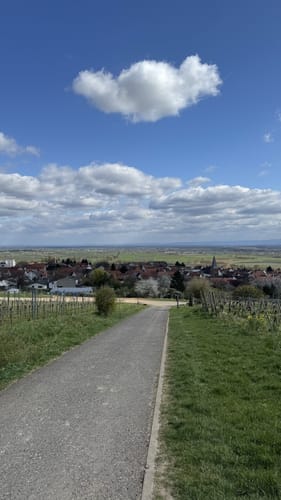 Erlebnispfad zum Humbergturm
