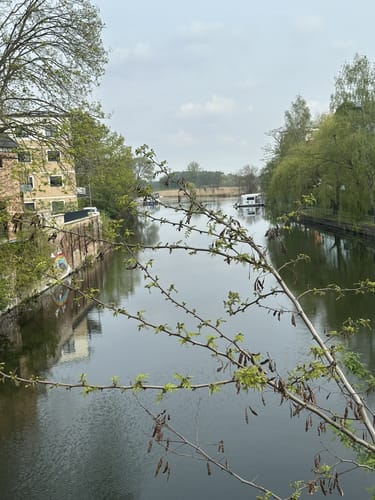 Brandenburg an der Havel Rundgang: Neustadt und Altstadt