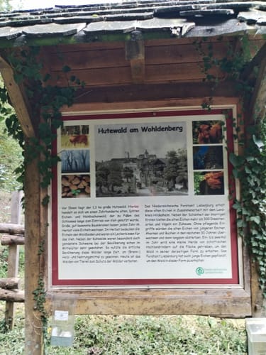 Burg Wohldenberg