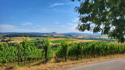 Über Groß-Umstadt und Schlierbach