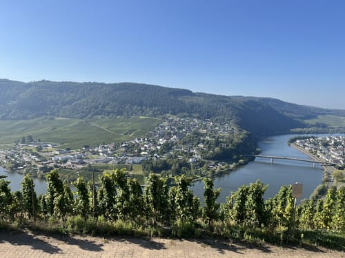 Moselsteig Etappe 6: Schweich - Mehring