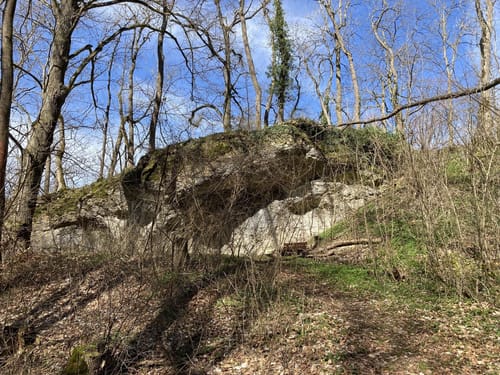 Von Altsteußlingen zum Blauen Steinbruch
