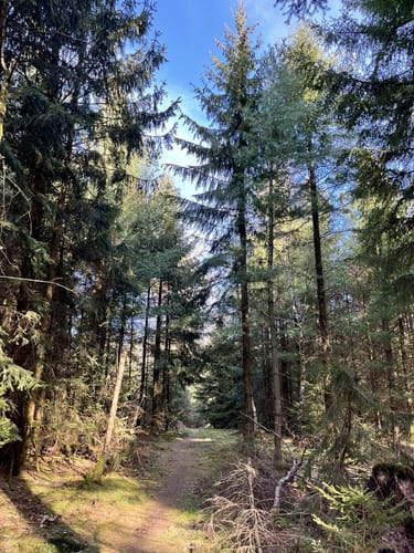Nördliches Eiterbachtal mit Stiefelhütte