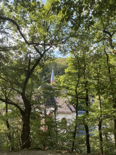 Rheinsteig Etappe 18: Rüdesheim - Johannisberg