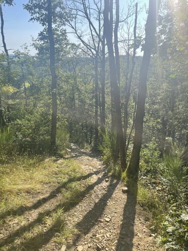 Natursteig Sieg Etappe 2: Hennef - Blankenberg