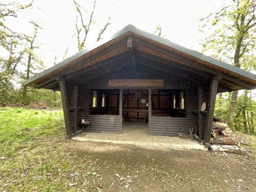 Saar-Hunsrück-Steig Etappe 24: Oppenhausen - Boppard