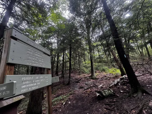 Porno 2 elf lezbiyenler