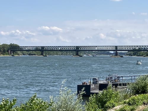 Mainzer Brückentour